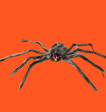 Load image into Gallery viewer, SPIDER BABY
